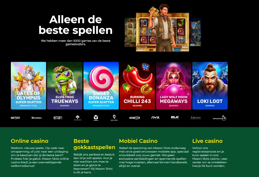 Mason Slots Casino – overzicht van het spelaanbod en platformfuncties